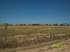 Fazenda beira rio cristalino 2178 ha